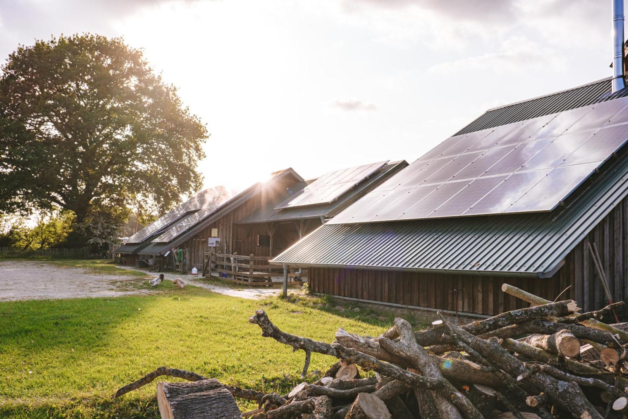 Domo Camp - Nature Glamping Hof Viehbrook 호텔 Rendswuhren 외부 사진