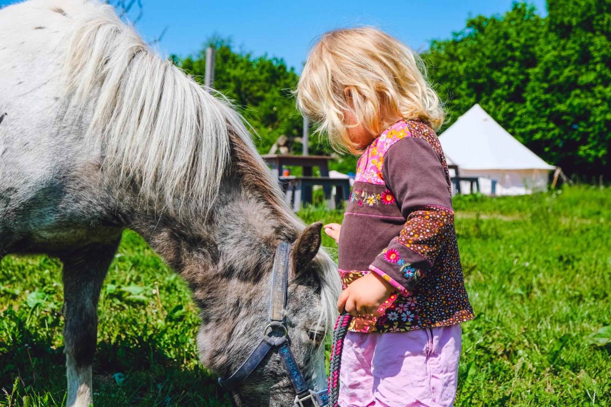 Domo Camp - Nature Glamping Hof Viehbrook 호텔 Rendswuhren 외부 사진